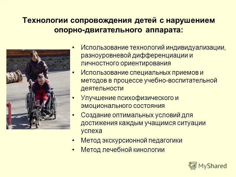 педагогическое сопровождение детей. педагог и дети. сопровождение детей с интеллектуальными нарушениями. сопровождение детей с интеллектуальными нарушениями. центры сопровождения ресурсных классов с рас.