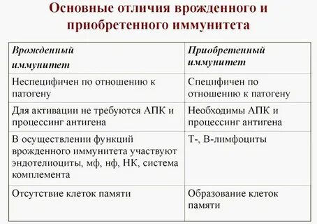 Иммунная система приобретенная и врожденная