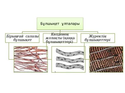 Терла әлі біткен жоқ