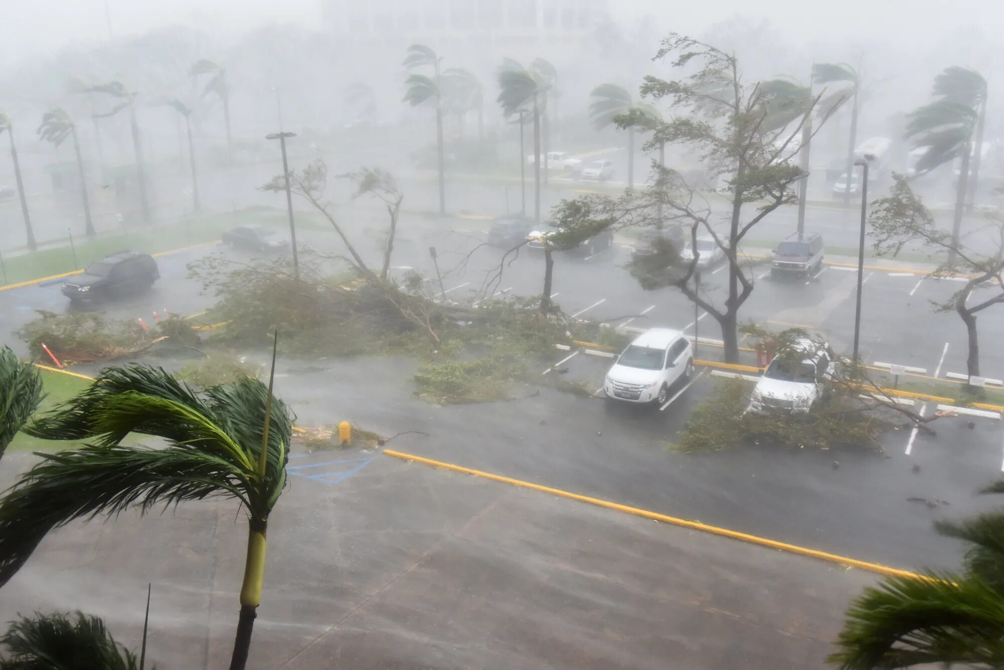 Natural disasters hurricane. Пуэрто Рико ураган. Тропический Тайфун.