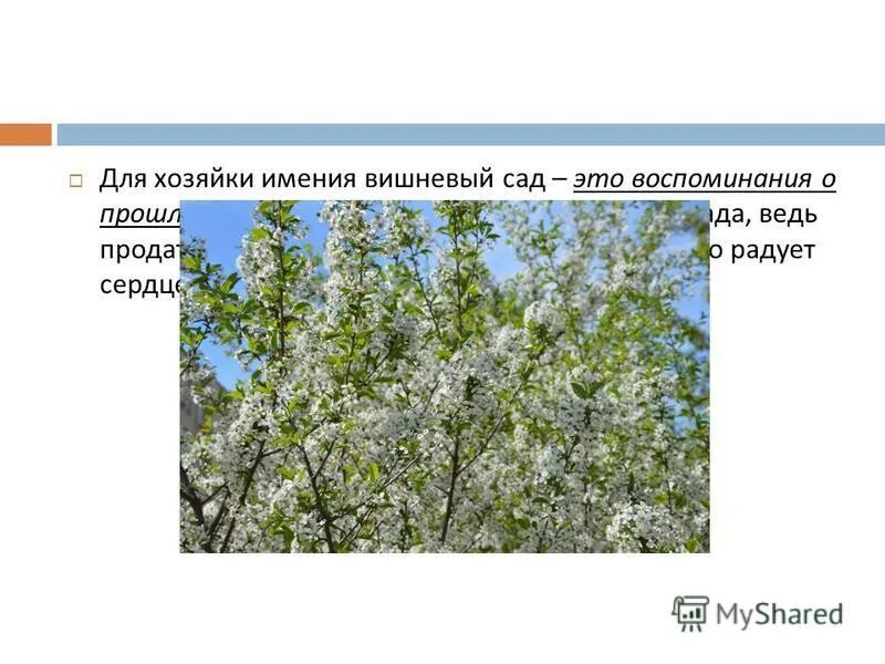 Платонов а. Среди героев пьесы вишневый сад нет. Вишневый сад жанр. А. Среди героев пьесы вишневый сад нет.