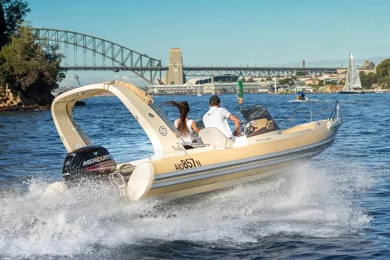 Риб skylark fish f420 le характеристики. Техсудпром лодка риб. Риб скайларк 530. "rib" скайларк 630. Риб скайларк 500.