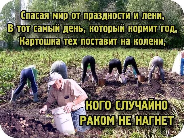 И дачу т е