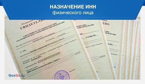 Мфц замена фамилии