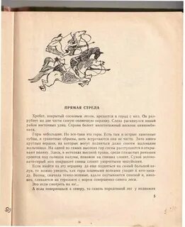 Хребет покрытый сосновым лесом врезается