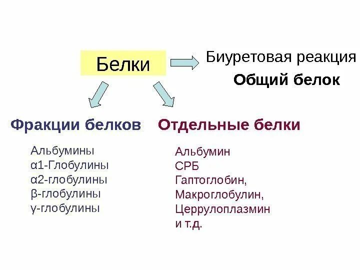 Фракции белков. Фракции белков СРБ. Белки крови отдельные белковые фракции. Фракции белков альбумин.