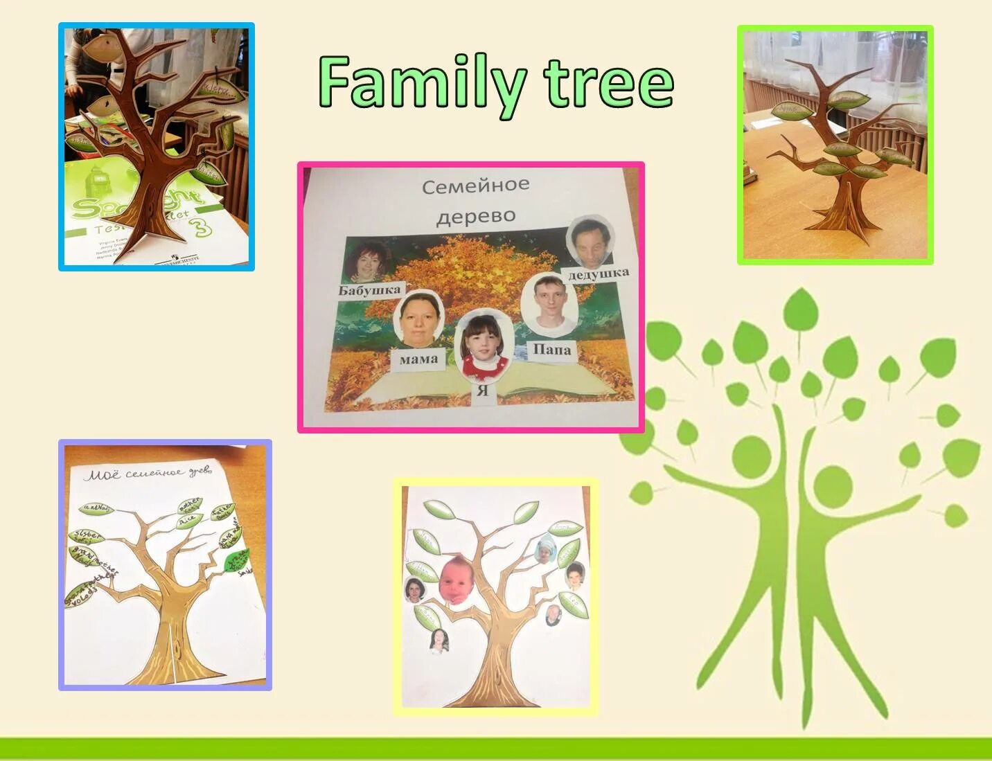 Проект по английскому языку 3 класс my family tree. Семейное древо по английскому. Family tree проект по английскому 4 класс. Семейное дерево на английском. Тема my family.