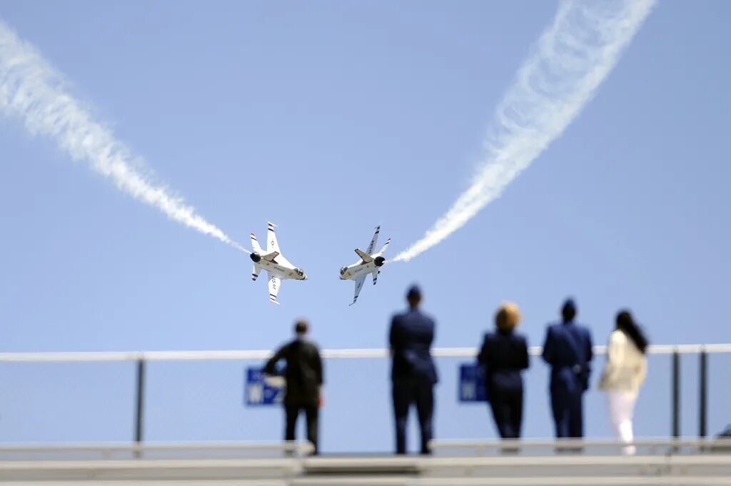 Наземно-воздушная среда обитания. Представители воздушных. Надземновоздушная среда обитания. Наземно-воздушная среда обитания. Наземно-воздушная среда.
