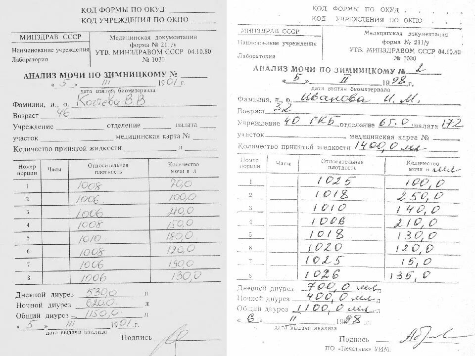 Анализ мочи по зимницкому тест. Направление по Зимницкому. Направление на исследование мочи по Зимницкому образец. Направление на анализ мочи по Зимницкому. Направление на анализ мочи по Зимницкому образец заполнения.