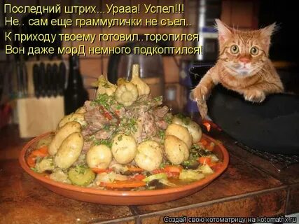Не прикоснувшийся к блюду