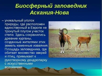 Аскания нова заповедник где