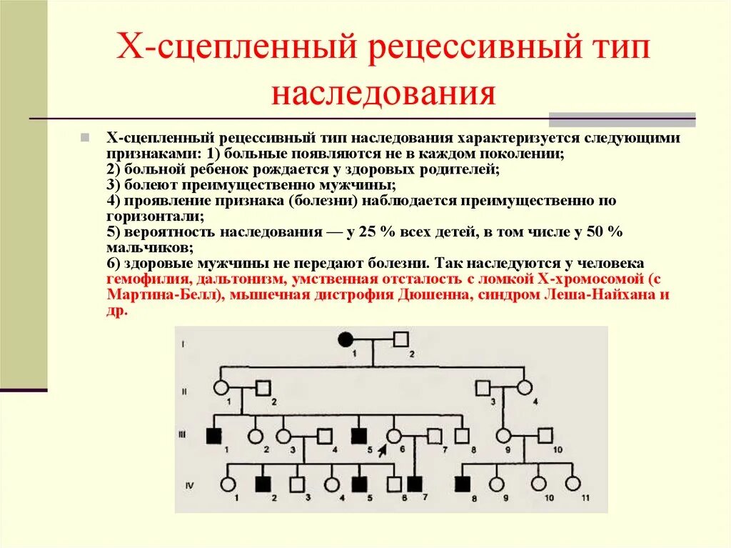 Х сцепленный рецессивный