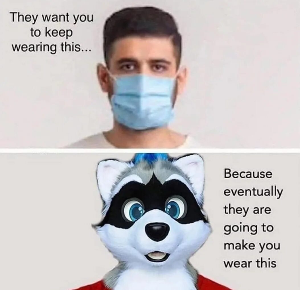 They want go when. They want. will they want they. when will you wear wigs meme. long sheeep meme.