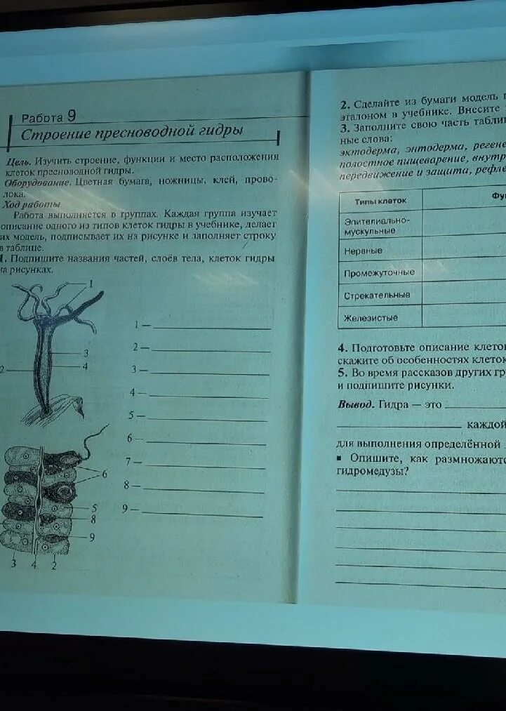 Заполните таблицу внутреннее строение гидры. Заполните таблицу внутреннее строение гидры