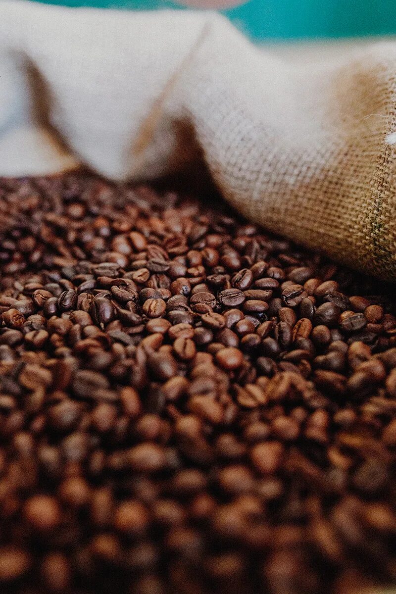 кофе бразильский каком. обжаренный кофе в зернах. кофе в зернах бразилия робуста. кофе бразильский каком. кофе в зернах с ореховой ноткой.