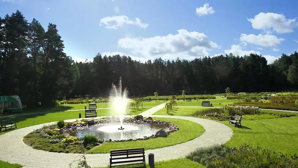 Центральный ботанический сад нан рб. Минскботаническмй сад. Бот. Центральный ботанический сад нан рб. Центральный ботанический сад национальной академии наук беларуси.