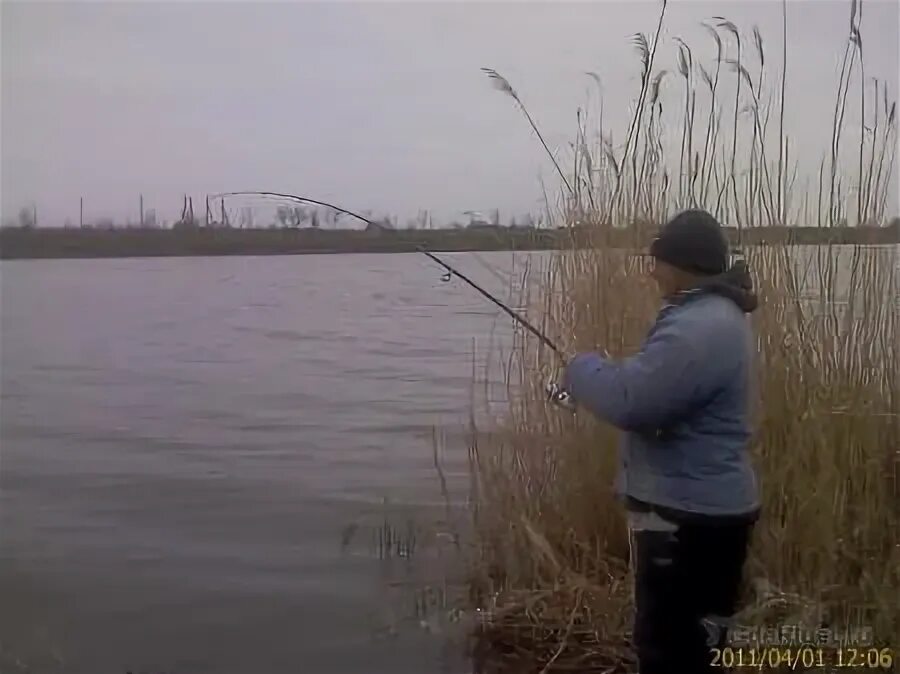 Р 2011. Р 2011