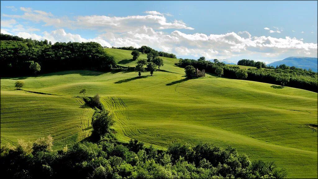 Fields 5