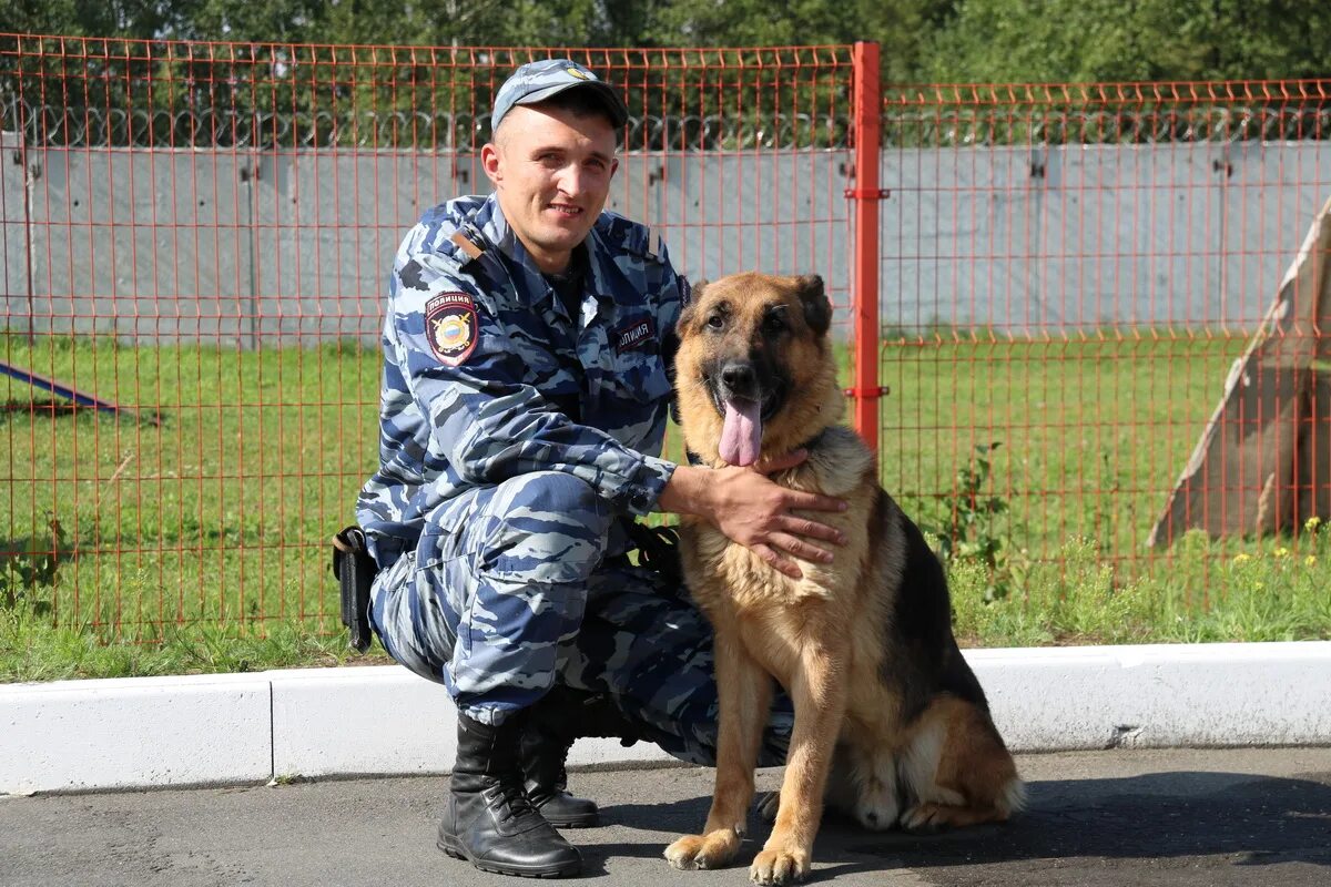 Служебные собаки. Служебная овчарка. Немецкая овчарка по кличке. Служебные собаки Брянск. Овчарка купить брянск