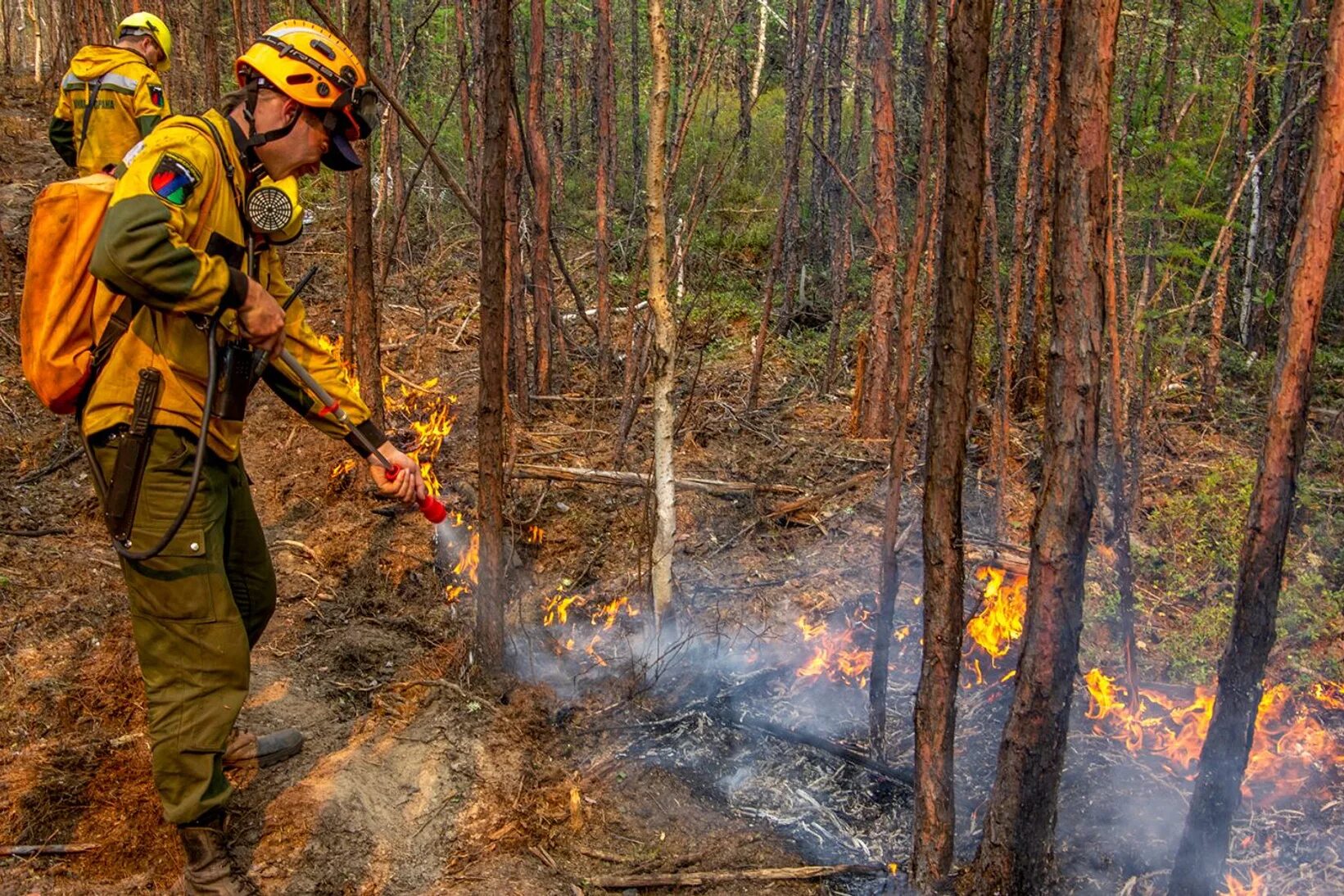 Лесные пожары в россии 2021 якутия. Пожары в якутии 2021. Лесные пожары летом в сибири 2019. Лесные пожары в сибири 2019. Пожары в сибири 2021.