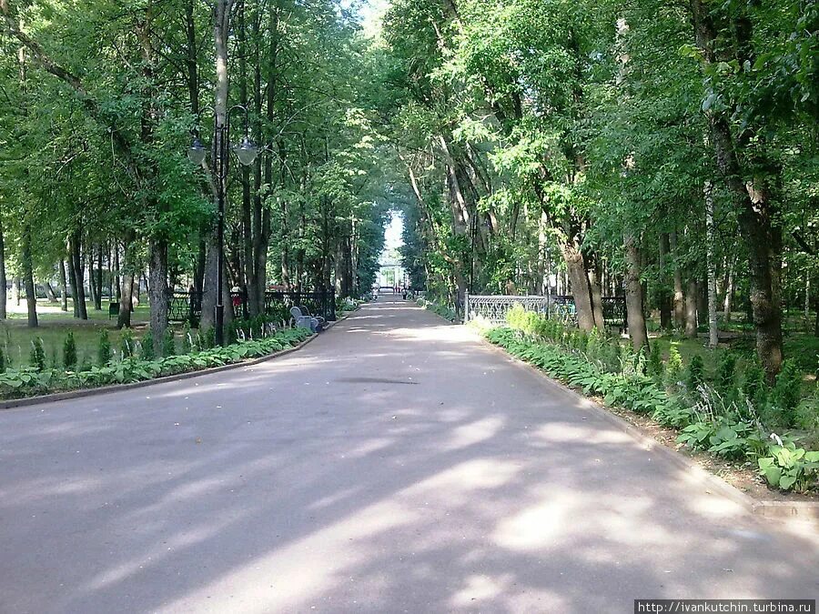 Главная аллея 4. Главная аллея 4. Лефортовский парк аллки. Главная аллея лефортовского парка. Лесопарк измайлово.
