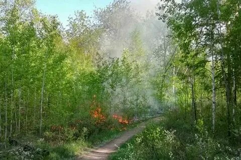 Лесная 3 самара