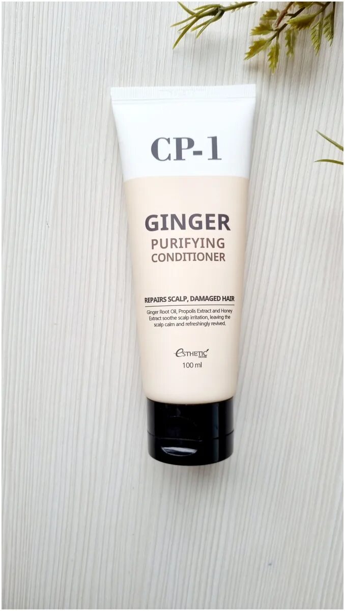 Ginger purifying. Ginger шампунь. Кондиционер для волос esthetic house с экстрактом имбиря 500 мл. Esthetic house шампунь имбирный. Ginger purifying.