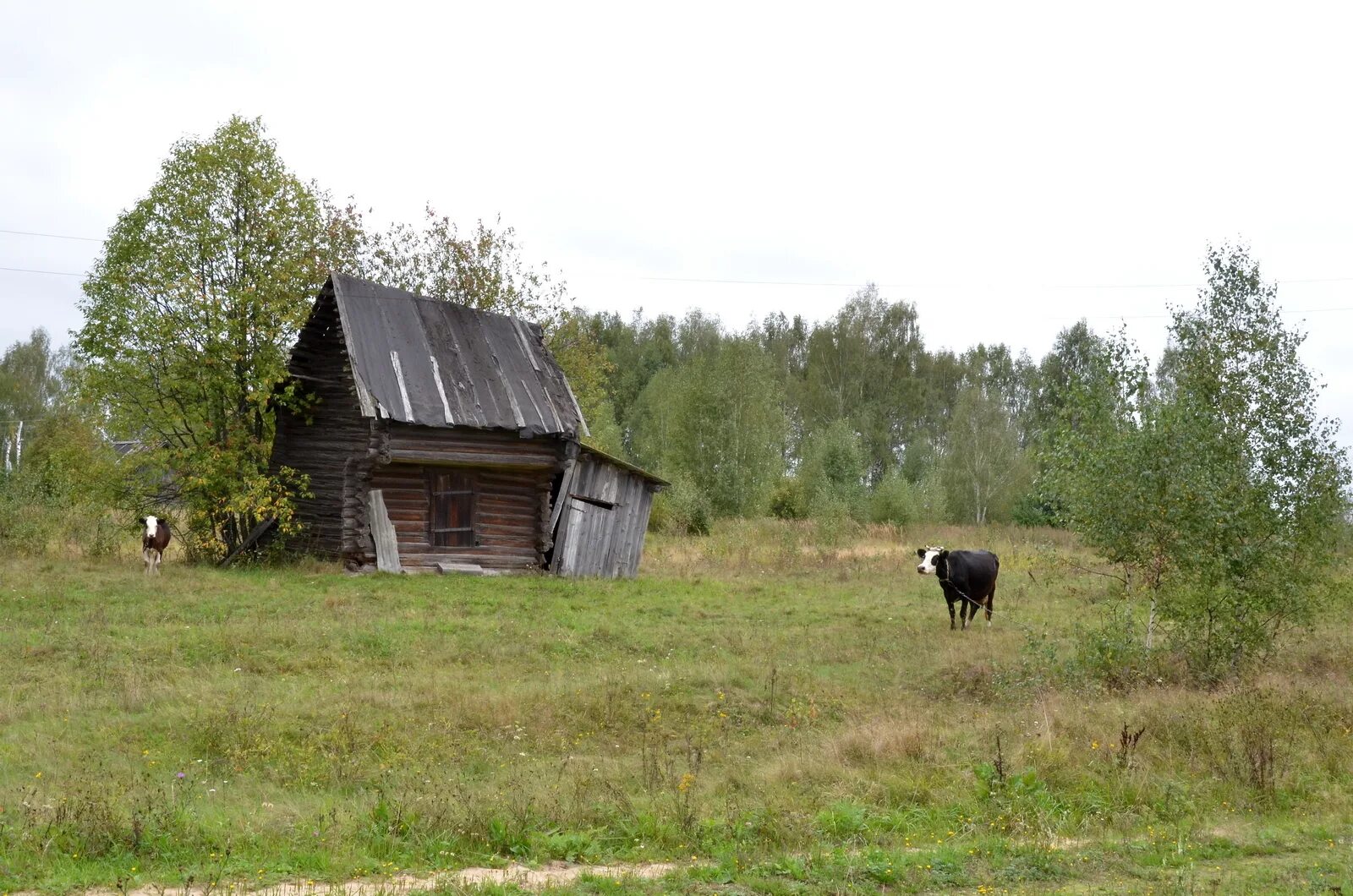 Моя деревня. Край деревни. Село Басалаевка фото. Иркутская обл с Басалаевка.