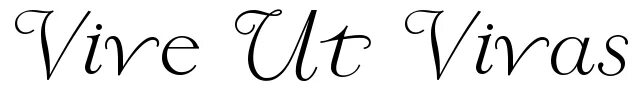 Vive ut vivas. Тату vive ut vivas шрифты. Тату надпись viva la vida. Надпись vive ut vivas тату на руке. Vive ut vivas тату на запястье.