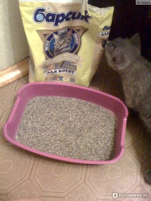 Какой наполнитель выбрать для котенка. Лучшие наполнители для котят. кошачий туалет барсик. наполнитель для лотка для котят марка. наполнитель для котенка 1 месяц.