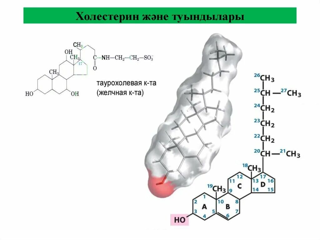 Формула холестерола. Холестерол строение биохимия. Холестерин формула биохимия. Структура холестерола биохимия. Холестерин химическое строение.