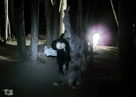 Death forest