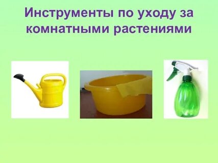Предметы для ухода за растениями