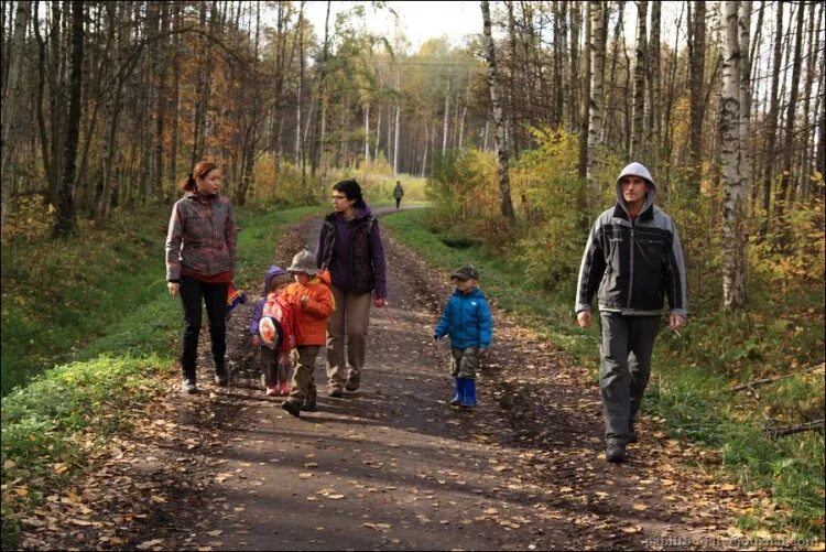 Можно ди гулять. РЖЕВСКИЙ лесопарк Санкт-Петербург. РЖЕВСКИЙ лесопарк Санкт-Петербург летом. РЖЕВСКИЙ лесопарк грибы. Плоггинг РЖЕВСКИЙ лесопарк.