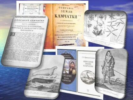 Крашенинников камчатка