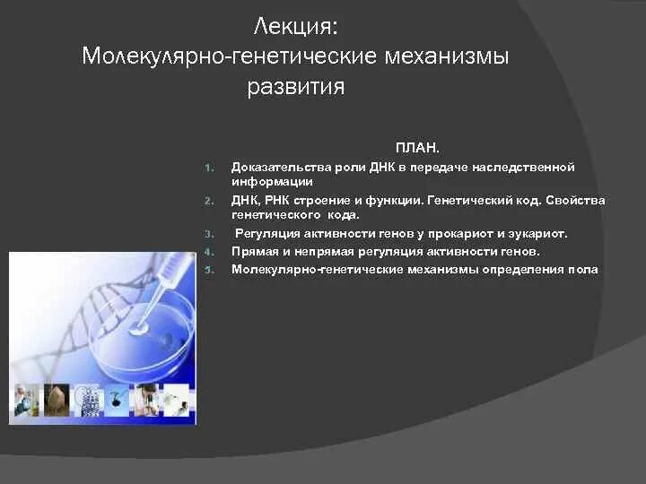 Молекулярно генетические доказательства. Молекулярно-биологический метод. Актуальность генной инженерии. Молекулярно генетические механизмы плейотропии. Молекулярно-генетические механизмы эволюции.