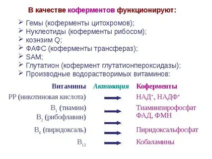 Компоненты ферментов