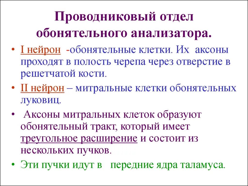 Обонятельный проводниковый отдел