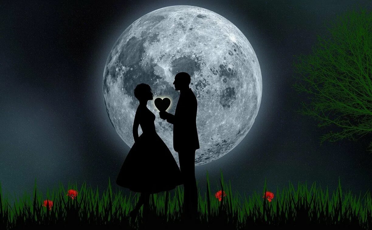 День свиданий под луной. Романтическая ночь. Ночь любви. Любовь. Ночь романтика любовь.