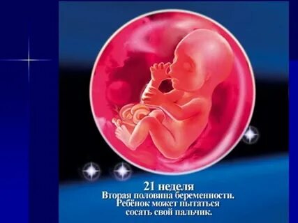 Шевеления плода 21 неделя