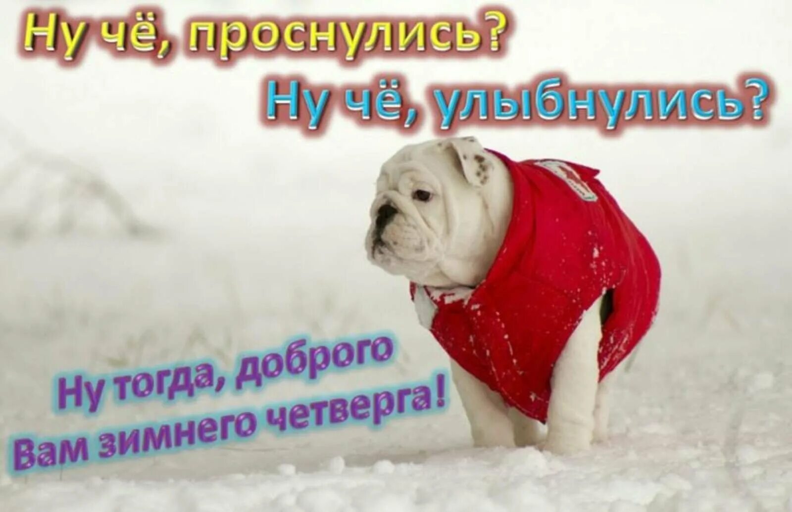 Доброе утро четверг последний день зимы. Сдобрым зимнем утро четверга. доброе зимнее утро че тверна. доброе зимнее утро четверга. открытки с добрым утром четверга зимние.