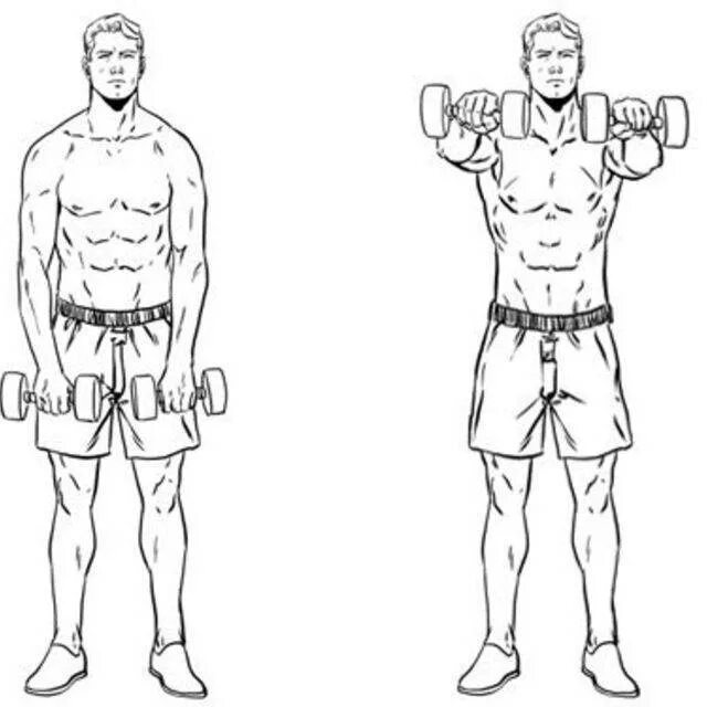 Гантели перед собой стоя. Махи гантелями перед собой стоя. Подъем гантелей перед собой стоя. Подёи гантелейперед собой. Упражнение подъем гантелей перед собой.