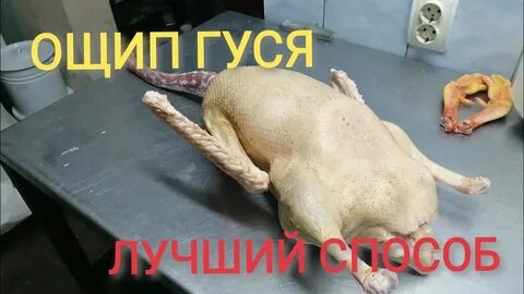 Утку ощипать быстро и легко
