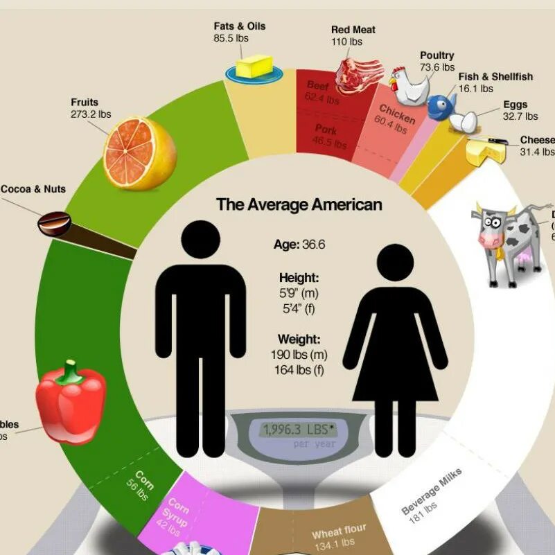 Инфографика свободное время. How do you spend your time. Уровни изучения английского языка. Spend leisure time. Ideal working day.