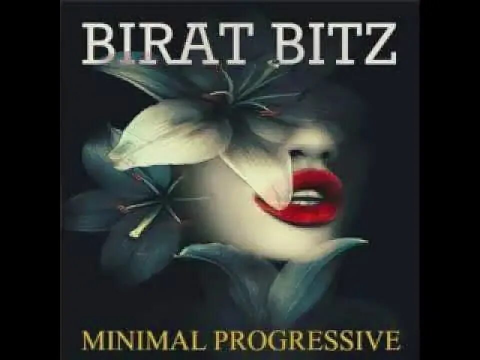 Birat bitz ecstasy. Birat Bitz. Birat Bitz группа. Birat Bitz Ecstasy Original Mix.
