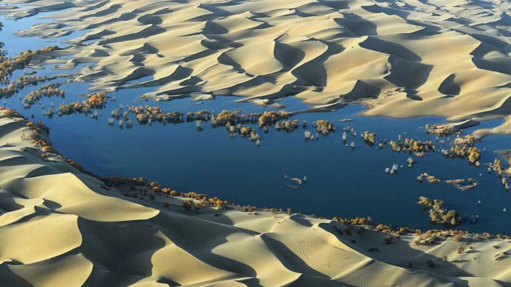 Где в пустыне вода. Такла макан солончаки. река такла макан. подземные воды сахары. подземные воды в пустыне.