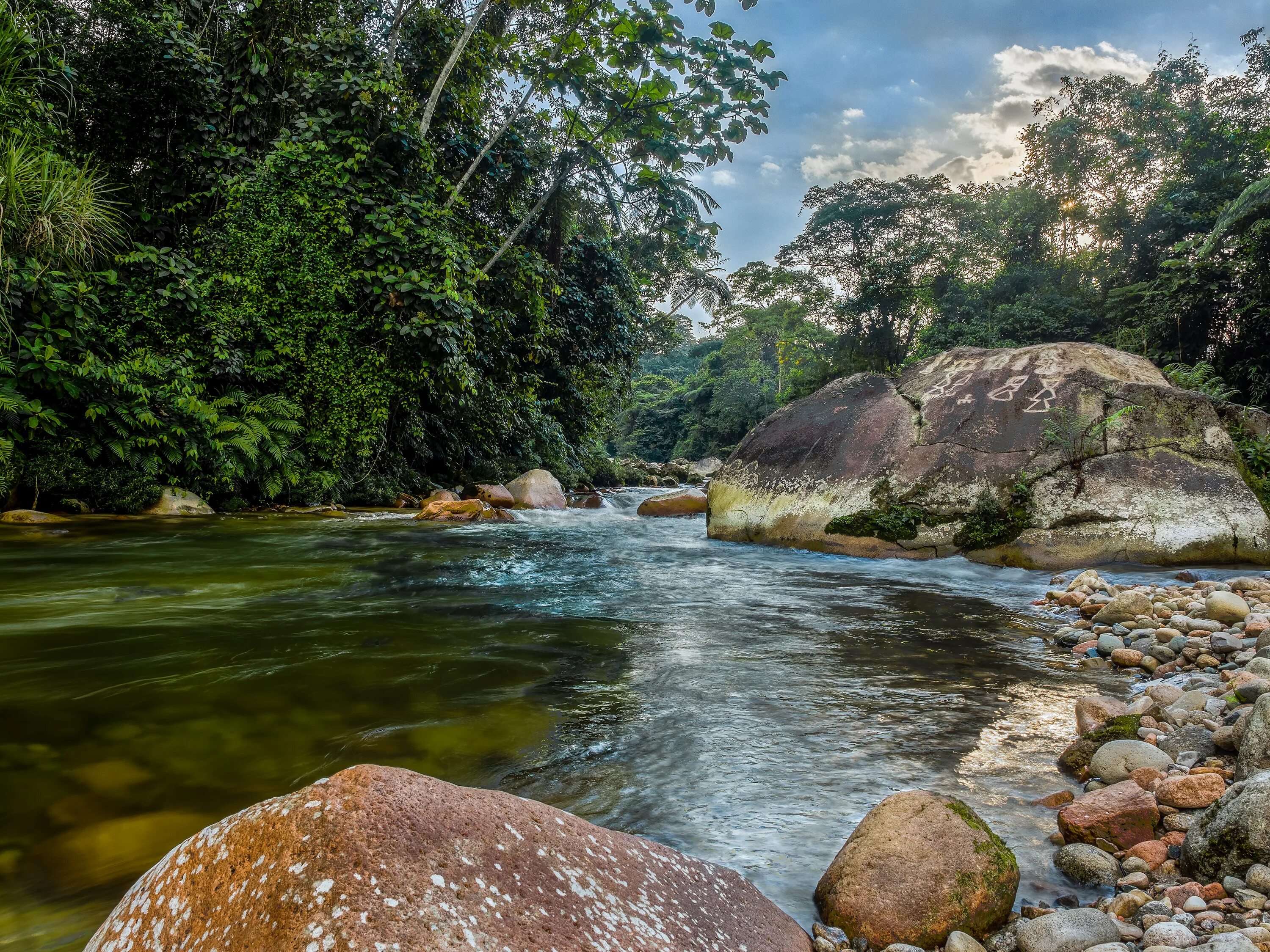Stone river. Горная река. Река в джунглях. Ручей в джунглях. Горная река в джунглях.