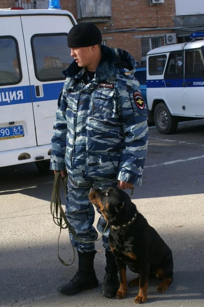 Кинологическая служба полиции. Конвой с собаками. Конвой собаки. Конвой собаки. Служебные собаки.