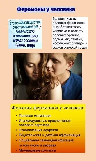 феромоны. феромоны манга. мужчина и женщина аромат. духи секси лайф список ароматов. феромоны это.