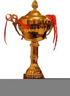 Кубок профессионал